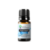 Blue Tansy Essential Oil | 100% Pure Essential Oil - JOYA ESSENTIALS