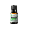 Eucalyptus Essential Oil | 100% Pure Essential Oil - JOYA ESSENTIALS