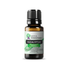 Eucalyptus Essential Oil | 100% Pure Essential Oil - JOYA ESSENTIALS