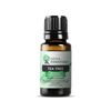 Tea Tree Essential Oil | 100% Pure Essential Oil - JOYA ESSENTIALS