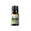 Rosemary Essential Oil | 100% Pure Essential Oil - JOYA ESSENTIALS