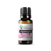 Cedarwood Essential Oil | 100% Pure Essential Oil - JOYA ESSENTIALS