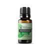 Wintergreen Essential Oil | 100 % Pure Essential Oil - JOYA ESSENTIALS