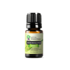 Lemon Eucalyptus Essential Oil | 100% Pure Essential Oil - JOYA ESSENTIALS