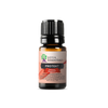 Protekt Essential Oil Blend | 100% Pure Essential Oil | Immune Support Blend - JOYA ESSENTIALS