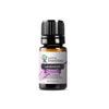 Essential Oil Diffuser Gift Set - JOYA ESSENTIALS