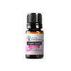 Clary Sage Essential Oil | 100% Pure Essential Oil - JOYA ESSENTIALS