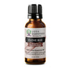 Clove Bud Essential Oil | 100% Pure Essential Oil - JOYA ESSENTIALS