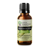 Lemon Eucalyptus Essential Oil | 100% Pure Essential Oil - JOYA ESSENTIALS