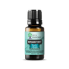 Bergamot Mint Essential Oil | 100% Pure Essential Oil - JOYA ESSENTIALS