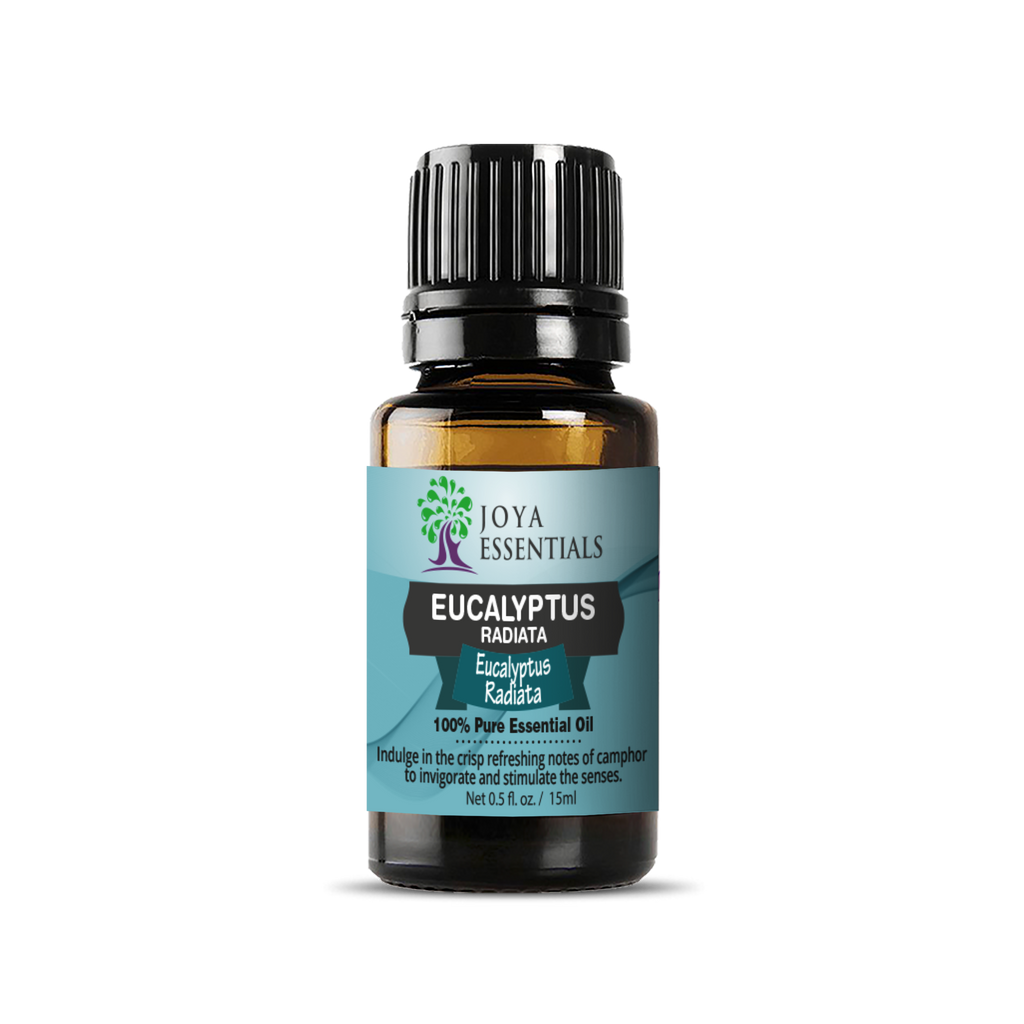 Eucalyptus Radiata Essential Oil | 100% Pure Essential Oil - JOYA ESSENTIALS