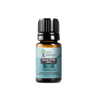 Eucalyptus Radiata Essential Oil | 100% Pure Essential Oil - JOYA ESSENTIALS