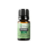 Spearmint Essential Oil | 100% Pure Essential Oil - JOYA ESSENTIALS