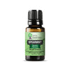 Spearmint Essential Oil | 100% Pure Essential Oil - JOYA ESSENTIALS