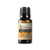 Carrot Seed Essential Oil | 100% Pure Essential Oil - JOYA ESSENTIALS