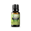 Rosemary Verbenone Essential Oil | 100% Pure Essential Oil - JOYA ESSENTIALS